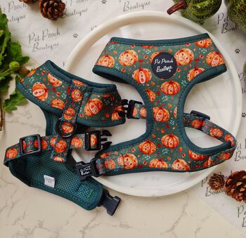 Harvest Pumpkin Patch Dog Harness With Optional Set, 2 of 5
