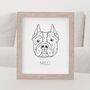 Personalised Pitbull Terrier Pet Portrait Outline Print, thumbnail 1 of 8