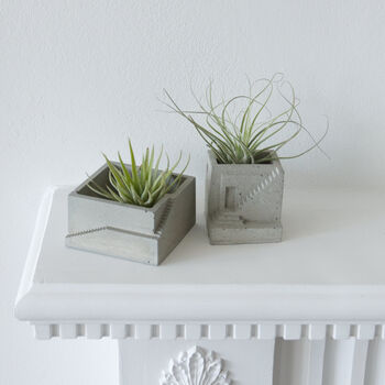 Concrete House Air Plant Holder Collection Set, 2 of 9