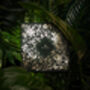 Wonders Advent Calendar 2025, thumbnail 4 of 4