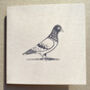 Hand Printed Pigeon Card, thumbnail 1 of 6