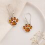 Sterling Silver Baltic Amber Paw Print Drop Earrings, thumbnail 4 of 5