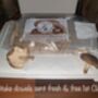 Shiitake Mushroom Log Dowel Kit, Gift Voucher Option, thumbnail 3 of 8