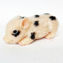 'Spotty' The Spotted Silicone Micro Piglet Collectable, thumbnail 1 of 6