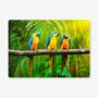 Placemats Featuring Three Macaws, thumbnail 1 of 2