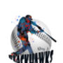 Baseball Personalised Splash Poster, thumbnail 4 of 5