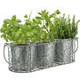 Personalised Grow Your Own Gin Garden Herb Planters, thumbnail 2 of 8