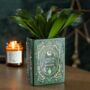 Green Witch Book Shaped Vase, thumbnail 1 of 2