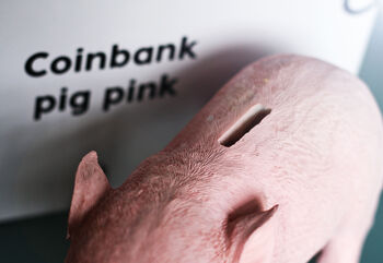 Pink Piggy Money Box, 4 of 8
