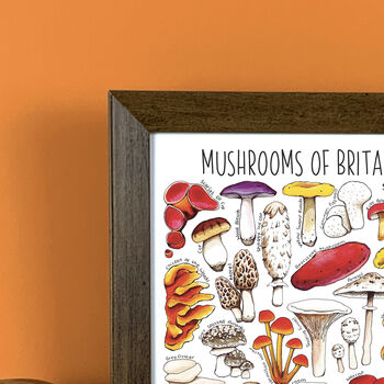 Mushrooms Of Britain Wildlife Watercolour Print, 6 of 6