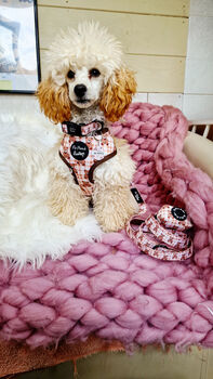 Vintage Bear Gingham Dog Collar With Optional Set, 7 of 11
