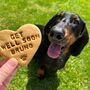 Get Well Soon Dog Biscuits Gift Set, thumbnail 1 of 3