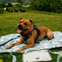 Paws Outdoors Dog Travel Mat Settle Mat, thumbnail 9 of 9