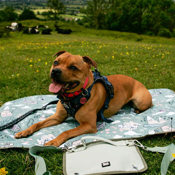 Paws Outdoors Dog Travel Mat Settle Mat, 9 of 9