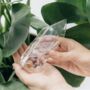 Water Your Plant From A Crystal, thumbnail 1 of 4