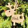 Personalised Reindeer With Star Christmas Decoration, thumbnail 2 of 5