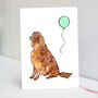 Red Setter Birthday Card, thumbnail 1 of 10