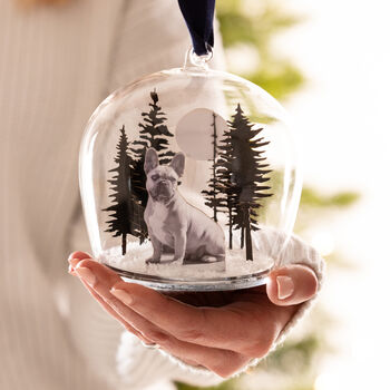Personalised Pet Photo Christmas Globe Dome, 2 of 3
