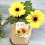 Happy Sunflower Jute Bag Grow Set, thumbnail 2 of 6