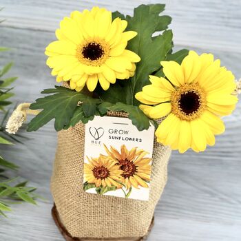 Happy Sunflower Jute Bag Grow Set, 2 of 6