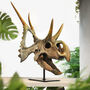 Large Hand Painted Diabloceratops Skull Dinosaur Sculpture Museum Quality 3D Resin Fossil Model On Black Metal Stand, Statement Home Decor, thumbnail 1 of 4