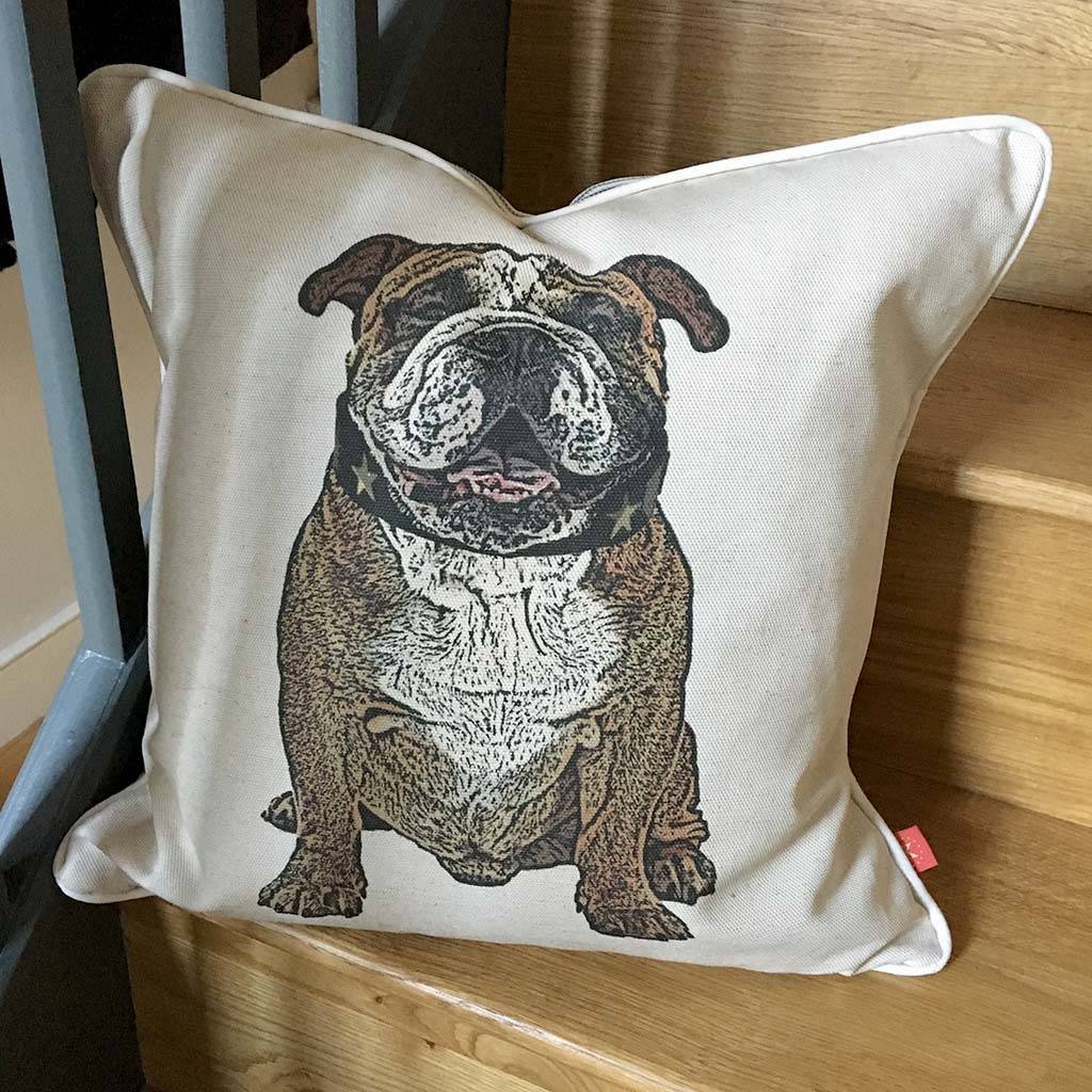 bulldog cushion