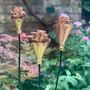 Set Of Three Copper Rosette Flower Stakes Ltzaf151, thumbnail 7 of 9