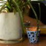 Mini Hand Painted Plant Pot, thumbnail 2 of 3