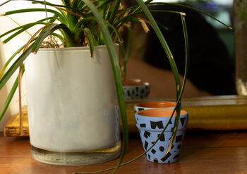 Mini Hand Painted Plant Pot, 2 of 3
