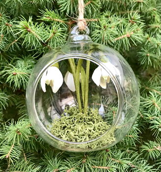 Paper Snowdrop Tiny Terrarium With Gift Tag And Box, 4 of 11