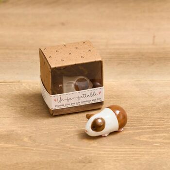 Guinea Pig Keepsake Ornament With Gift Box, 3 of 7