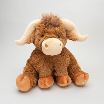 Personalised Longhorn Highland Cow Large Soft Plush Toy, 5 of 6