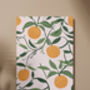 Orange Art Print, Citrus Prints, Fruit Art, thumbnail 7 of 7