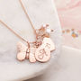 Rose Gold Vermeil Butterfly Necklace With Birthstones, thumbnail 2 of 7