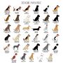 Father's Day Dog Walker Socks Various Breeds Available, thumbnail 10 of 12