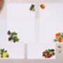 Traditional Fruit Writing Paper Gift Box Set, thumbnail 2 of 4