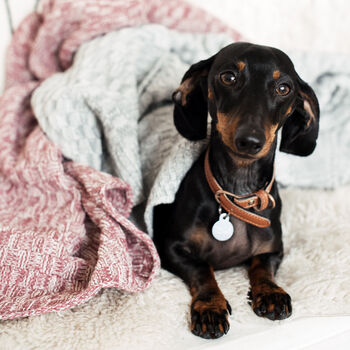 Personalised Knitted Pet Blanket, 5 of 8