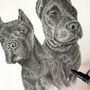 Personalised Pet Portrait Illustration, thumbnail 4 of 8