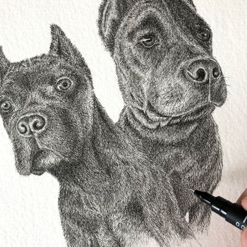 Personalised Pet Portrait Illustration, 4 of 8