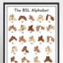 Multicoloured Hands BSL Sign Language Alphabet Print, thumbnail 1 of 2