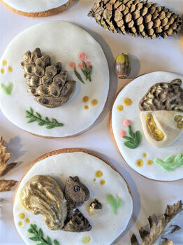 Personalised Hand Iced Woodland Creatures Biscuit Box, 6 of 12