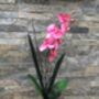 Pink Artificial Silk Orchid Mothers Day Gift, thumbnail 6 of 6