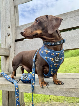 Blue Buzzy Bumble Bee Dog Harness, 3 of 8