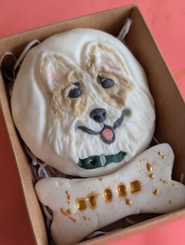 Personalised Hand Iced Pet Portraite Letterbox Biscuit Gift, 10 of 11