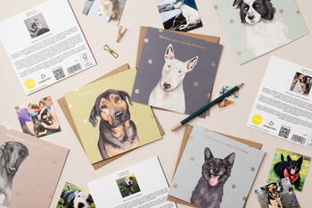 Street Vet Alfie Charity Christmas Card With Gold Foil, 3 of 3