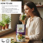 Organic Immunity Plus Superfood Powder 200g Moringa+Turmeric+Ashwagandha+Amla, thumbnail 6 of 8