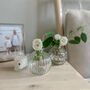 Set Of Two Round Clear Pressed Glass Vases Eight.5cm, thumbnail 3 of 5