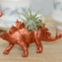 Stegosaurus Dinosaur Planter With Plant, thumbnail 4 of 7