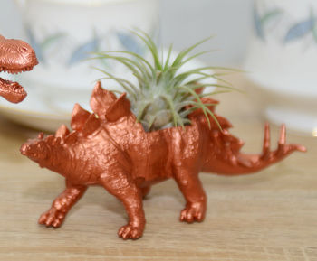 Stegosaurus Dinosaur Planter With Plant, 4 of 7