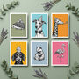 Set Of Six Animal Birthday/Celebration Cards, thumbnail 1 of 10